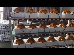 Garis kerja Pabrik Pencahayaan WEI Lampu LED Tahan Air.