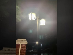 Di mana Anda bisa melihat lampu halaman?
