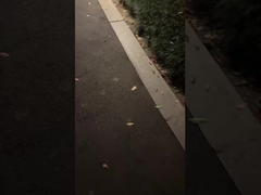 Wow! Apa lampu taman klasik, menerangi malam Anda!