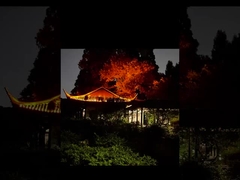 Lihatlah Lampu Lwan yang Cerah Ini