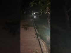 Lampu jalan di luar - Lampu untuk taman