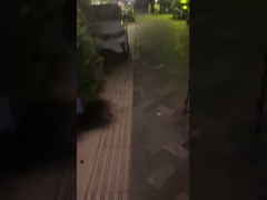 Mencerahkan Hidup Anda dan Membuat Suasana Yang Panas - Lampu Taman Luar Ruangan