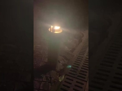 Menyinari taman terbuka dengan Lawn In Order Landscapes!