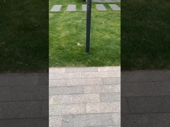 Lampu lanskap terbaik yang muncul di tempat wisata.