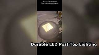 Lampu Taman Led 60W 4000K Dengan Lengan Tunggal IP66 IK10 Digunakan Di Taman Dan Jalan Perkotaan.