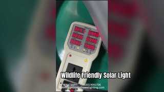 Lampu Taman Post Top Light 50W Dengan Efisiensi Tinggi Digunakan Di Taman Dan Jalanan.
