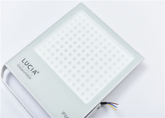 Putih 100w 130lm / W 120 Volt Led Outdoor Flood Lights
